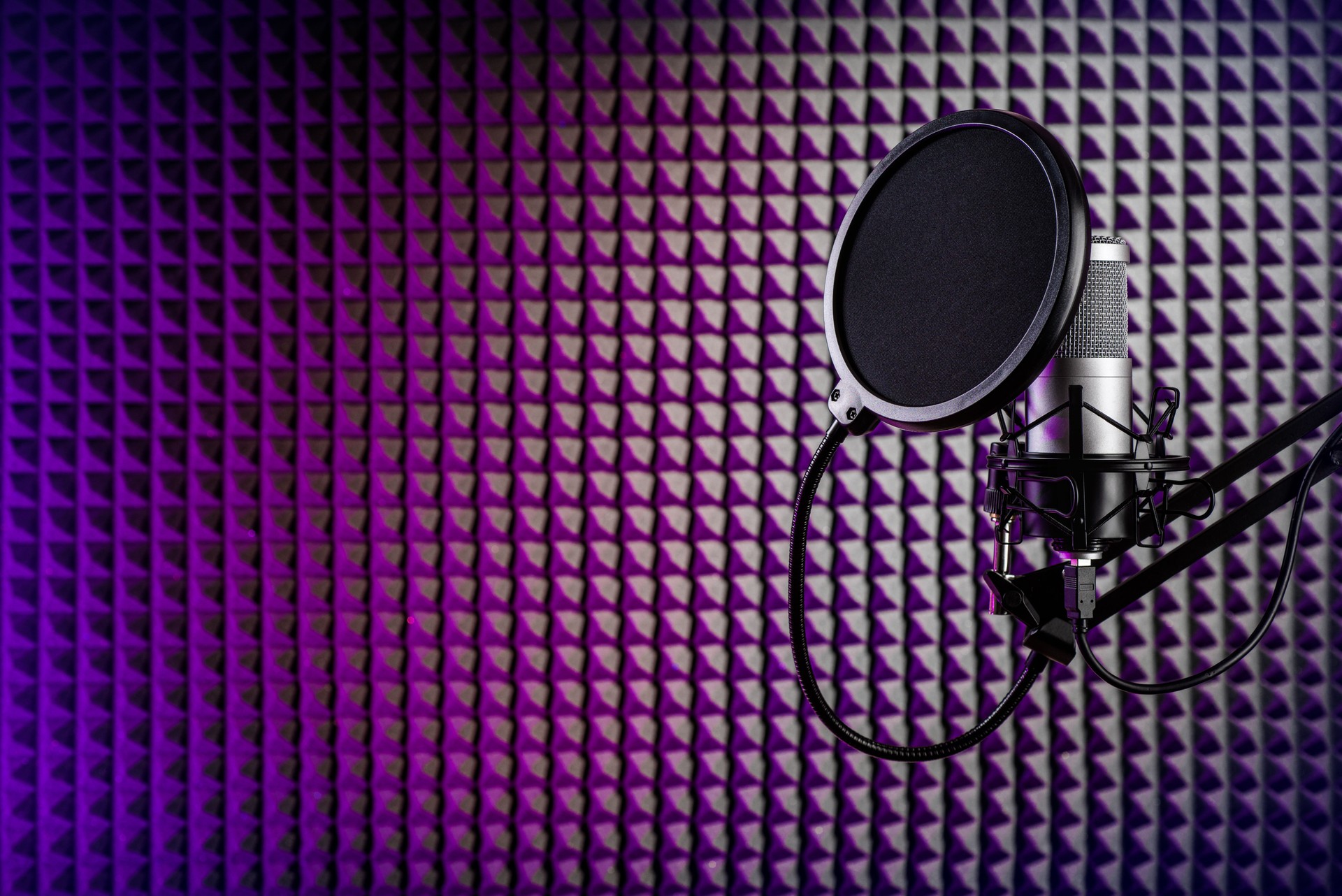 Professional microphone on the stand. Recording studio with acoustical wall panel.